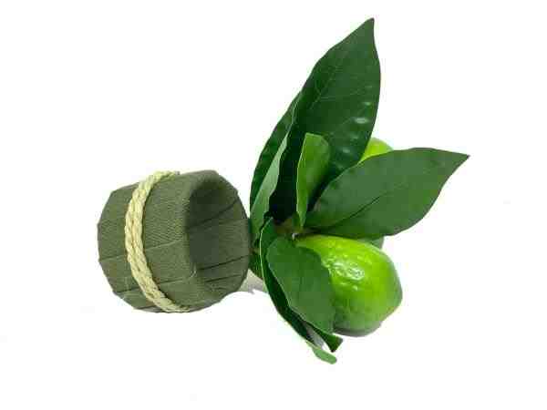 JG C/ 6 PORTA GUARDANAPOS LIMAO SICILIANO VERDE