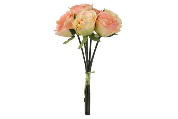 ROSA BQ VERSILHA INAMORATTA LR/SAL