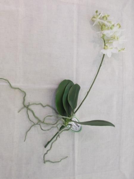 ORQUIDEA MINI PHALAENOPSIS PK X 1 36 CM