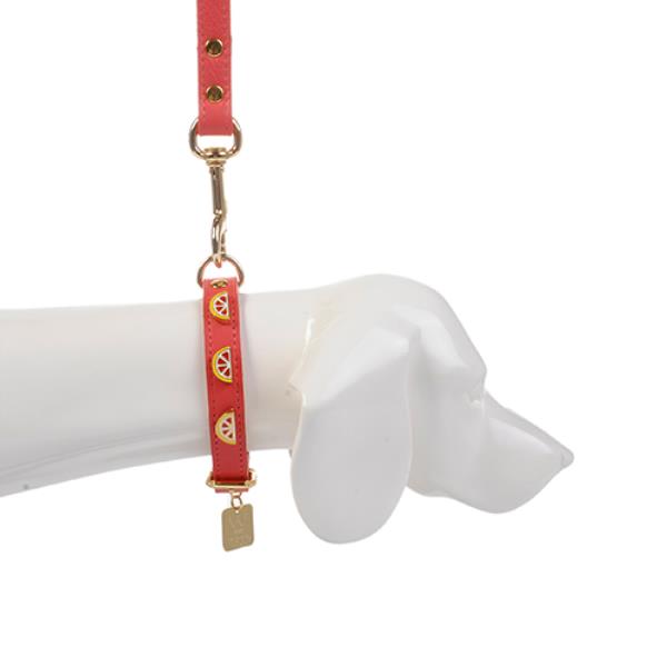 CJ COLEIRA COM APLICAÇÃO ESMALTADA