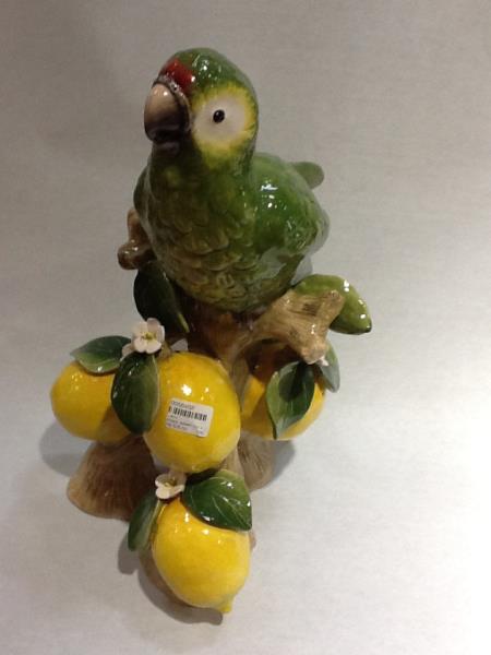 ARARA AMARELA E VERDE NO TRONCO LIAMO SICILIANO