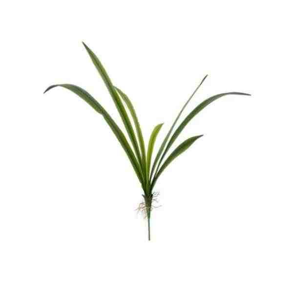 HASTE FOLHA ORQUIDEA CYMBIDIUM SILICONE X7 ALT 57CM