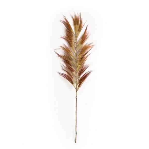 CAMPIM DOS PAMPAS KAWE 2 METROS