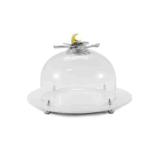 QUEIJEIRA MEDIA – ORQUIDEA