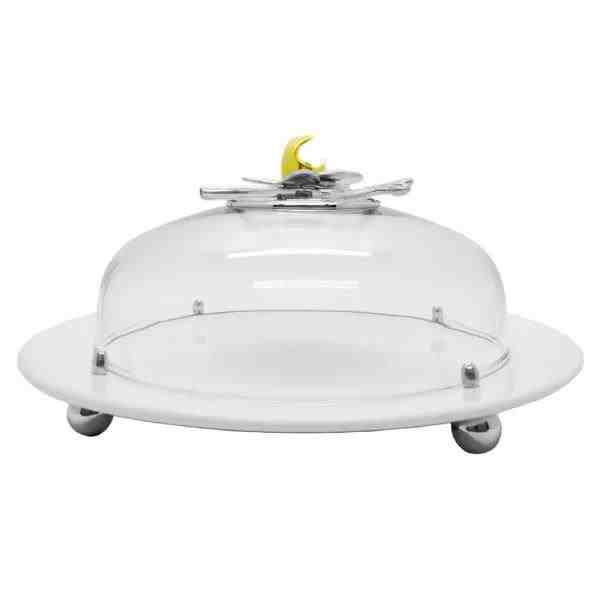 QUEIJEIRA GRANDE – ORQUIDEA