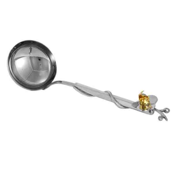 CONCHA DE FEIJÃO – ORQUIDEA