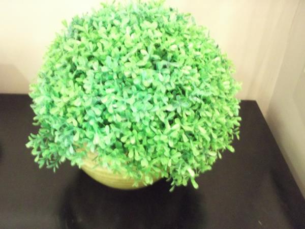 ARRANJO BUCHINHO EM POTE PLASTICO