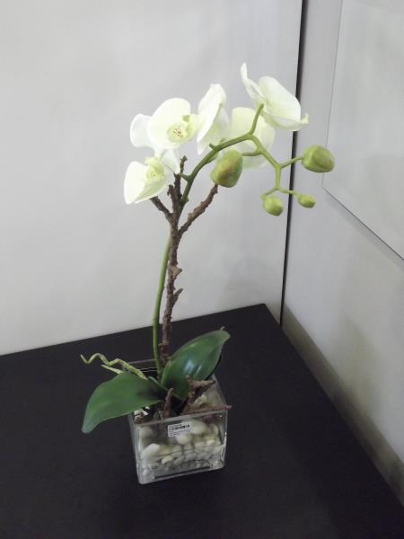 ARRANJO PHALAENOPSIS PEDRAS 56CM VD