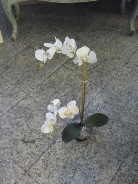 ARRANJO PHALAENOPSIS BCA X2 NO SOLO 64CM