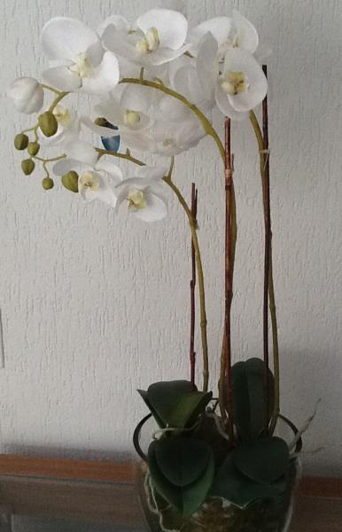 ARRANJO ORQ. PHALAENOPSIS BR/VIDRO/73CM