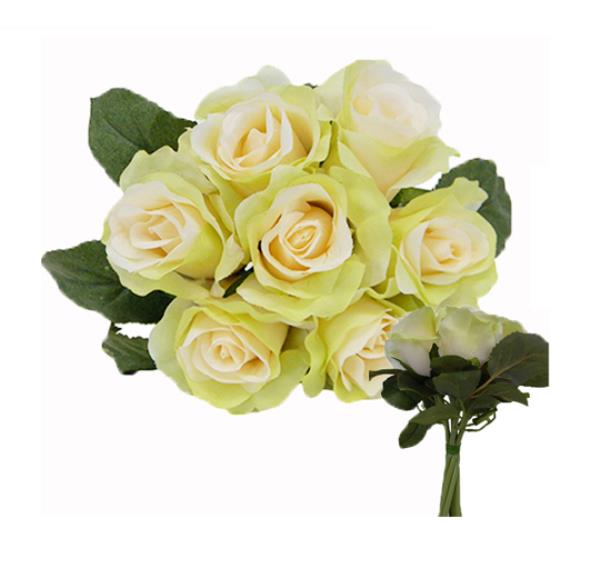 BUSH ROSAS GABY CREME/GREEN 26CM