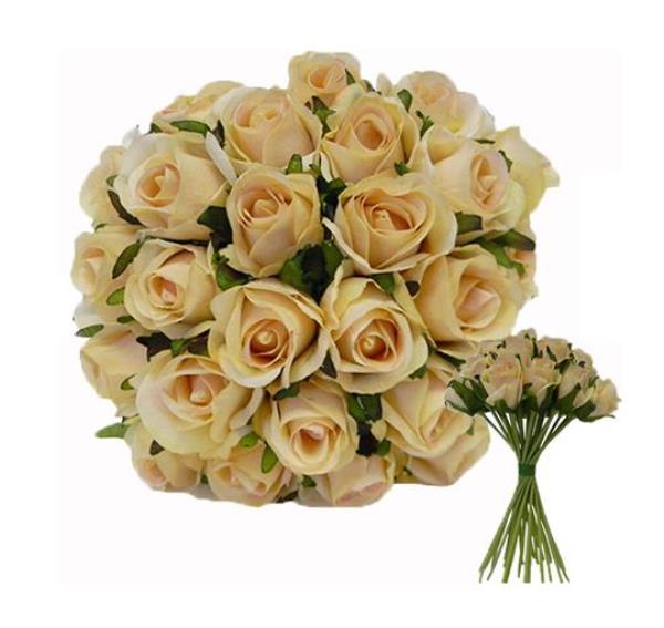 BUSH ROSAS LARIS SALMAO 25CM