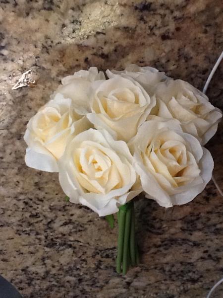 BUSH ROSAS TATYS CREME 25 CM