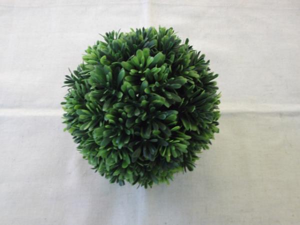 BOLA DE MINI SUCULENTAS 12 CM DIAM