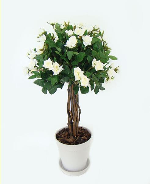 ARR. TOPIARIA DE ROSAS CR/ VASO BRANCO