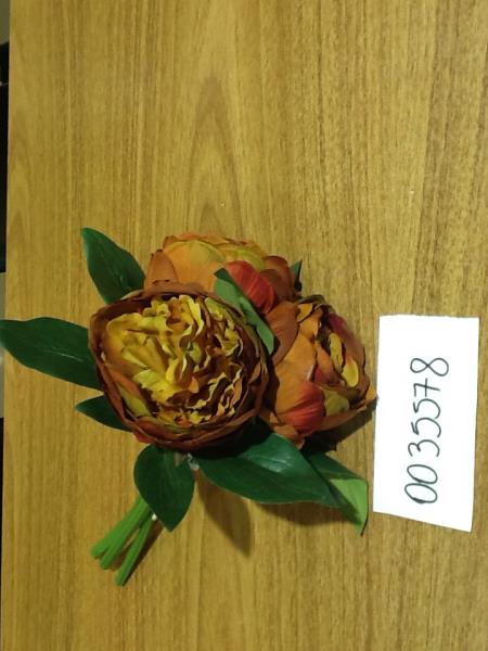 BUSH PEONIA MARY OCRE 27 CM