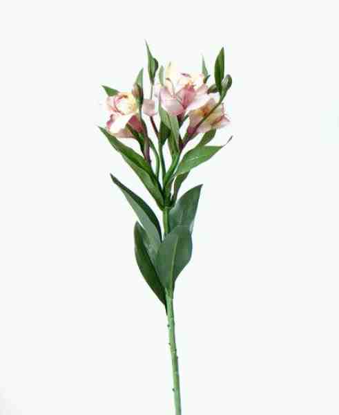 ASTROMELIA GALHO X5 FLORES 60CM