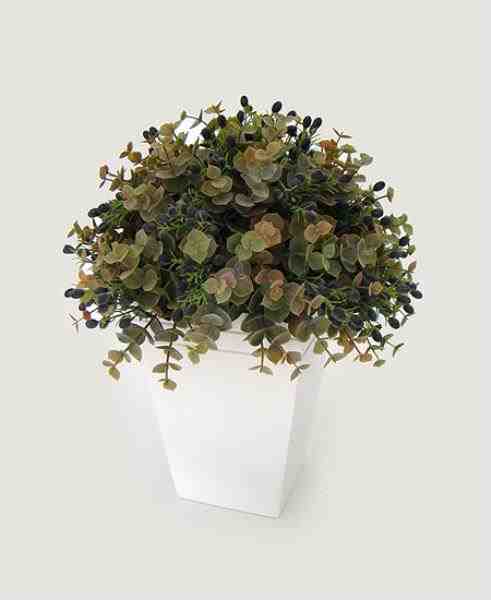 ARR EUCALIPTO C/BERRIES NO VASO BRANCO