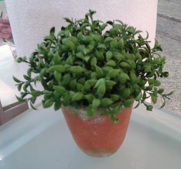 BOOL DE FICUS V PRETO