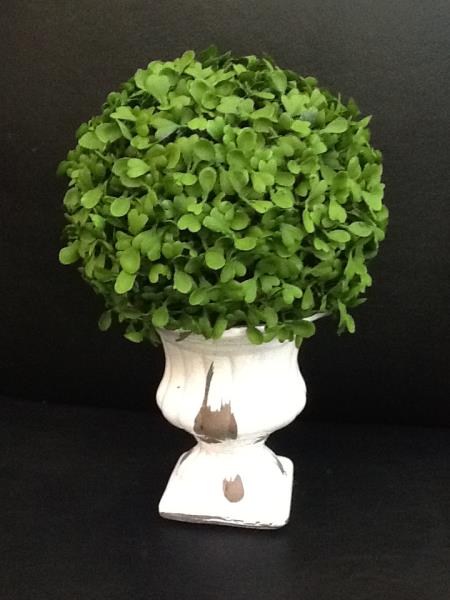 BOOL NA TACA P BRANCA