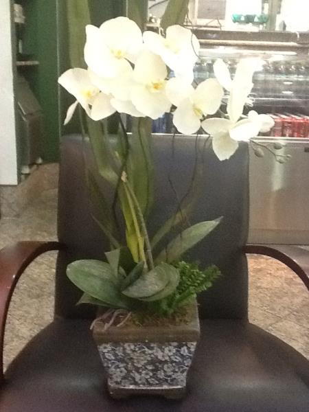 BOOL DE BUCHO NA CERAMICA AZUL P