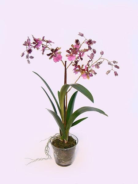ARRANJO ORQ ONCIDIUM VIDRO 78 CM