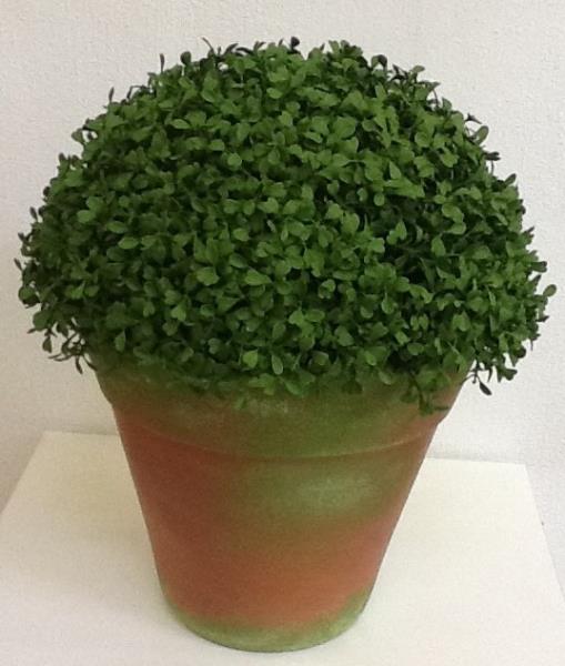 BOOL BUCHO NO V N. 8 C/ PATINA