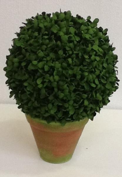 BOOL BUCHO NO V N. 2 C/ PATINA