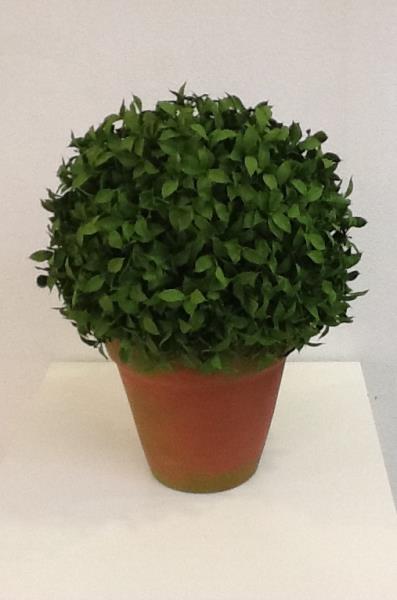 BOOL ALFAVACA V.N.6  C/ PATINA