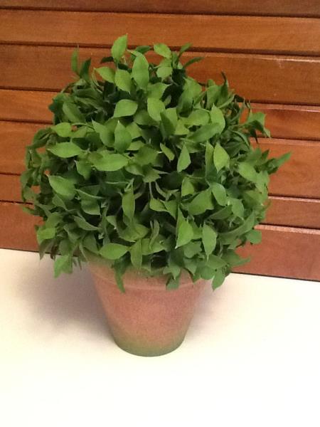 BOOL DE ALFAVACA V.N.2  C/ PATINA