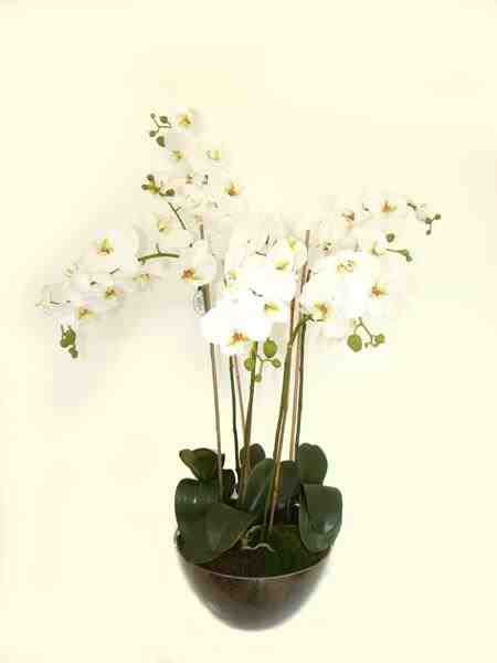 ARR ORQUIDEA PHALAENOPSIS EM VIDRO 90CM