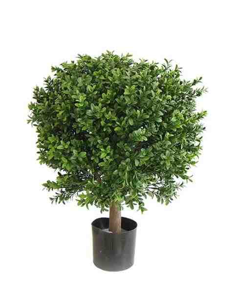 BUXINHO TOPIARIA C/ 972 FLS C/ POTE 42CM