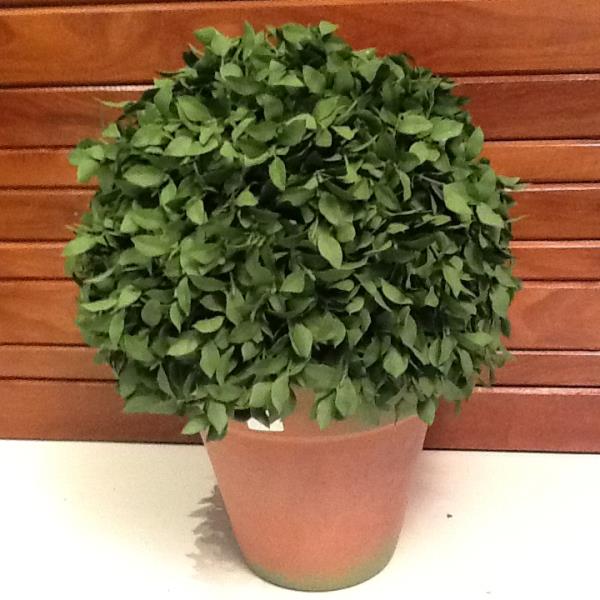 BOOL ALFAVACA V N.6 C/ PATINA