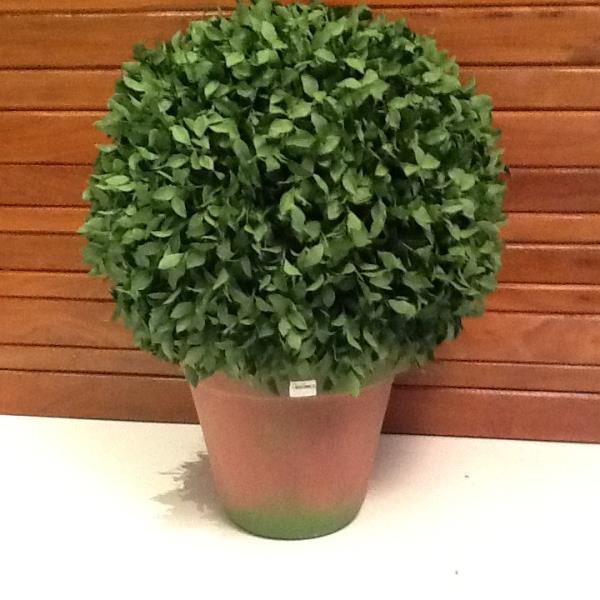 BOOL ALFAVACA V N.8 C/ PATINA