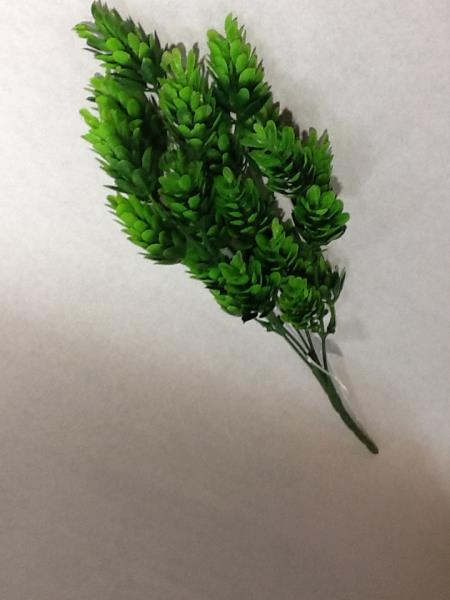 B CAPIM CEDRO X5 30 CM