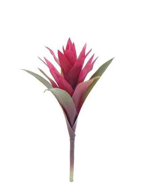 BROMELIA GUZMANIA FLOR 35CM