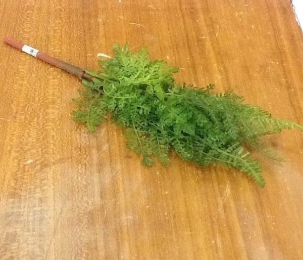 BUQUE FOLHAGEM X7 33CM