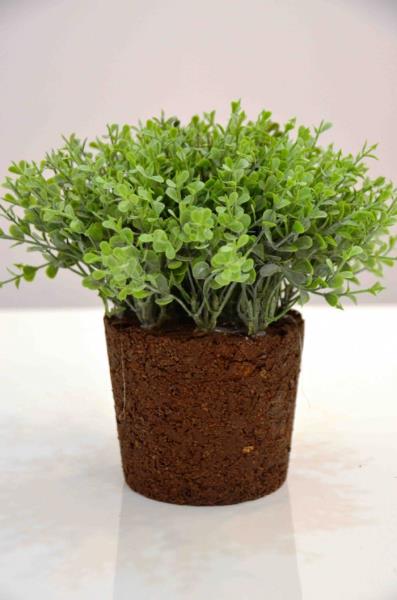 ARRANJO DINHEIRINHO EM PENCA BF 4690VD X3