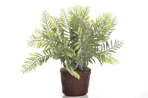 ARRANJO BF 4688 X1 COPINHO