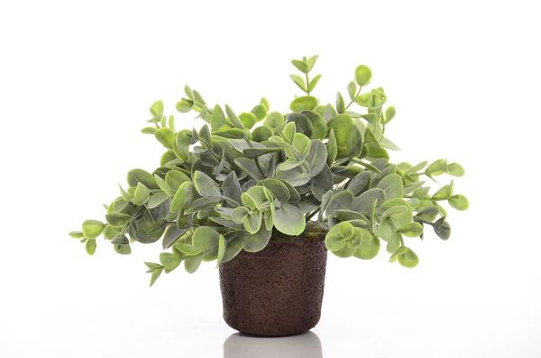 ARRANJO BF 4696 X1 COPINHO