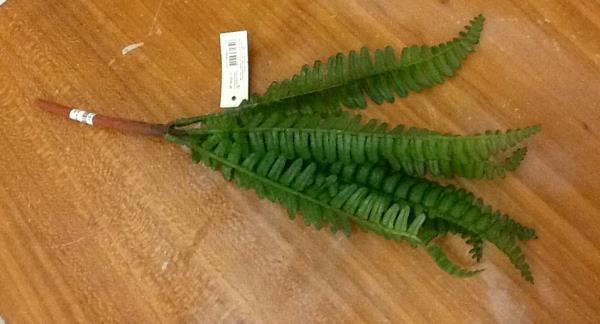 BUQUE DE SAMAMBAIA X7 35CM