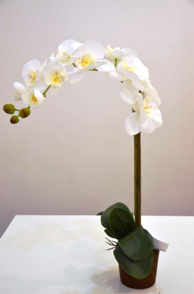 ARRANJO ORQUIDEA BF 1541 BR 1X1 HASTE