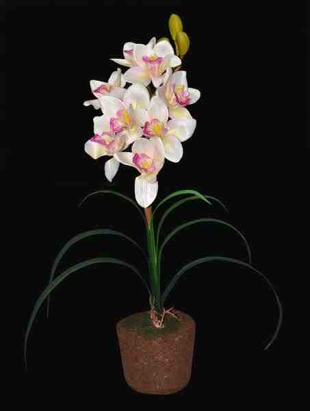ARRANJO ORQUIDEA BF5283RS X1 5166