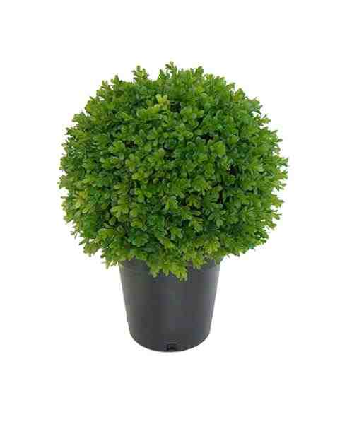 BUXINHO BOLA C/ POTE 40CM