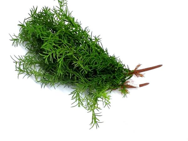 B ALECRIM T. REAL SILICONE ALT 44CM