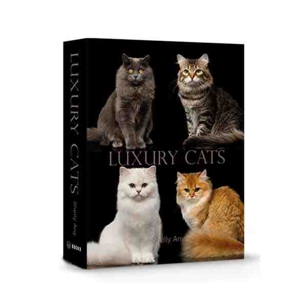BOOK BOX LUXURY CATS 26X20X7CM