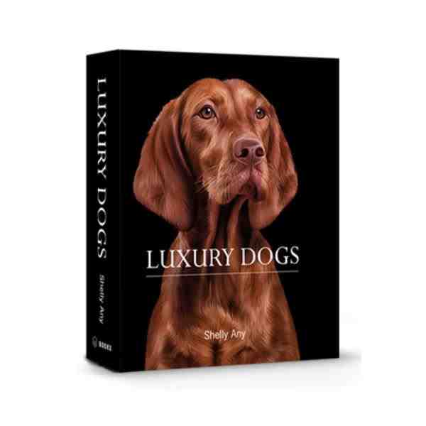 BOOK BOX LUXURY DOGS 26X20X7CM