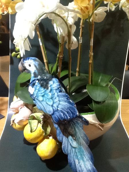 CACHEPOT G ARARA/LIMOES/ PAPOULAS