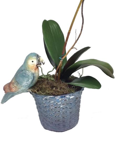 CACHEPOT CESTARIA M COR NEBOEIRO INVERNO C PAPAGAIO