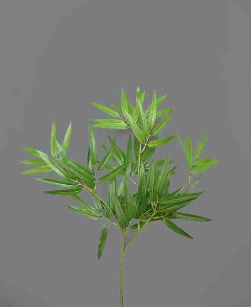 BAMBU JAPONES GALHO C/80FLS 45CM